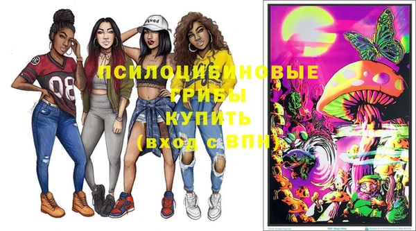 соль ск Абаза
